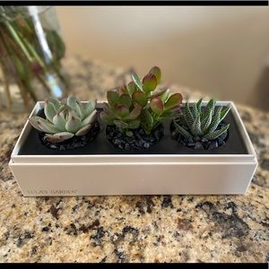 Meet your Posher, Franchesca